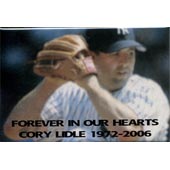 Arts and Org. Sample 258