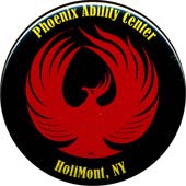 Arts and Org. Sample 285